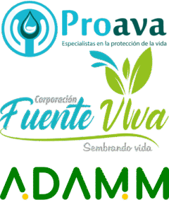3empresas